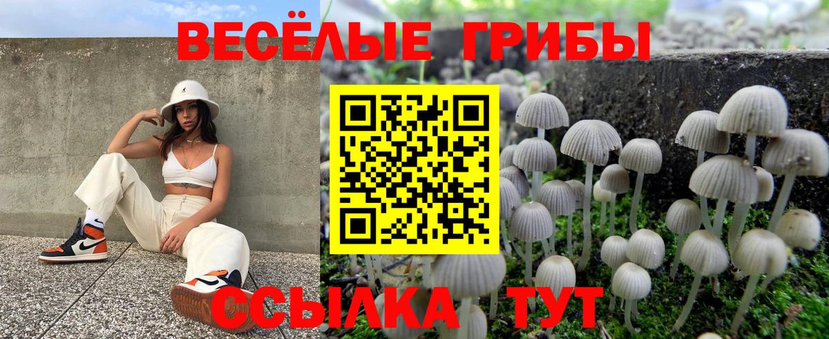 Галлюциногенные грибы MAGIC MUSHROOMS Аргун