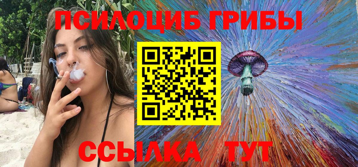 Аргун  Галлюциногенные грибы Cubensis  Вход с VPN 